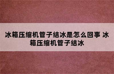 冰箱压缩机管子结冰是怎么回事 冰箱压缩机管子结冰